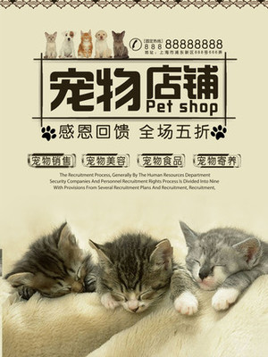 imtoken钱包官方下载地